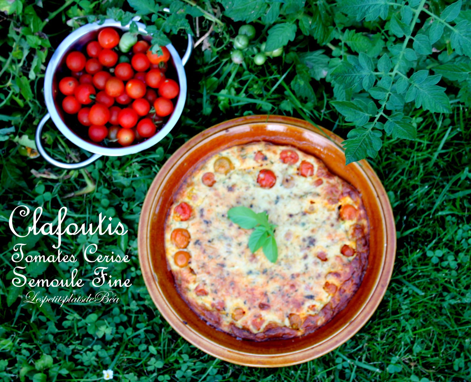 Clafoutis aux tomates cerise et à la semoule fine