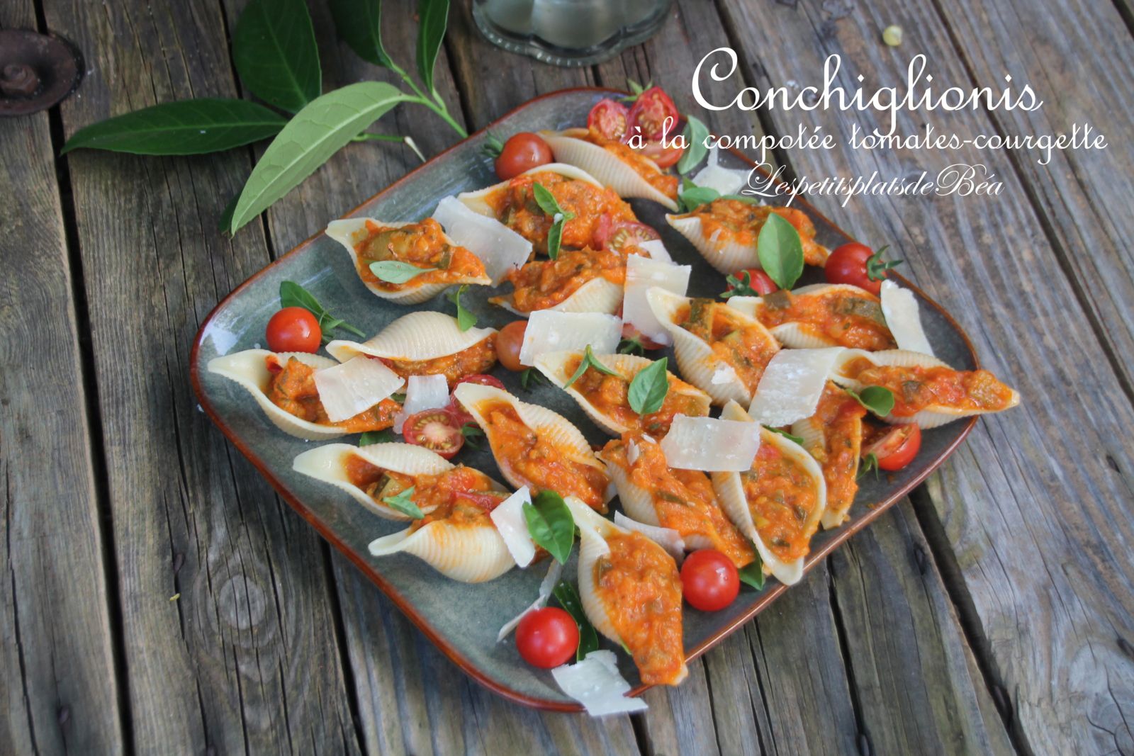 Conchiglionis à la compotée de tomates-courgette