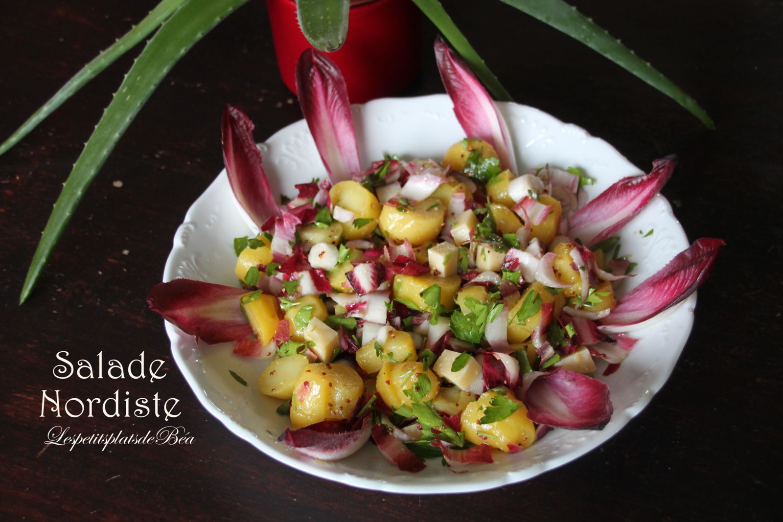 Salade nordiste - balade régionale au Familistère de Guise