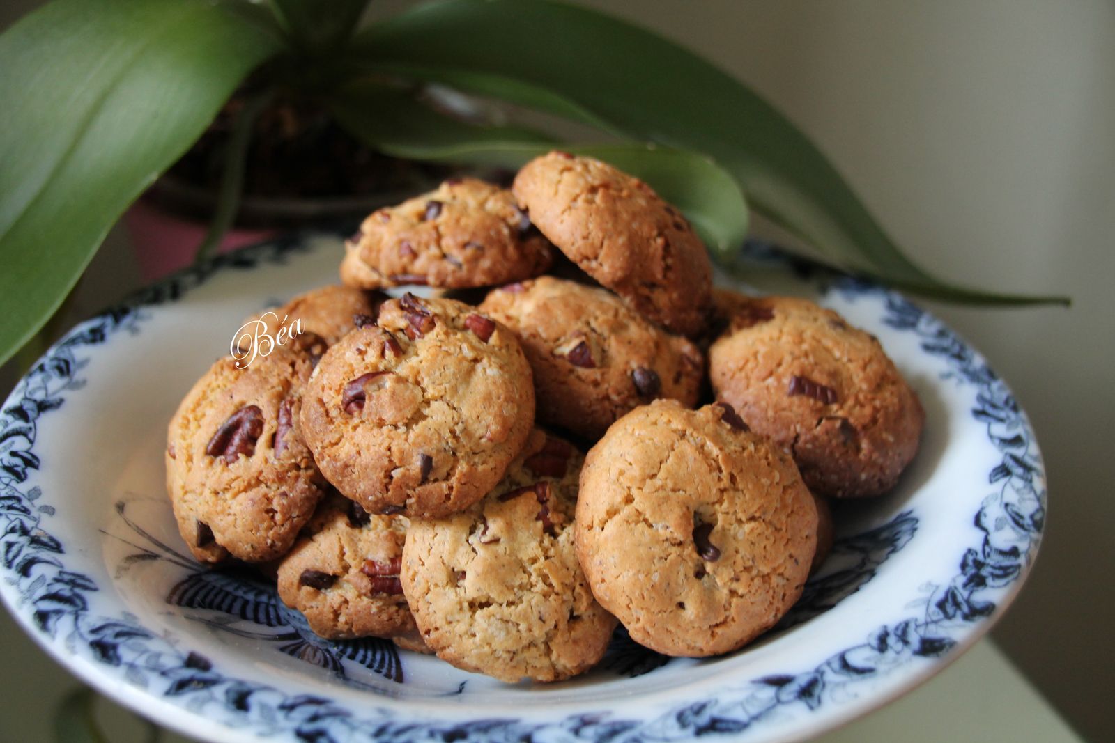 Cookies aux noix de pécan et pépites de chocolat