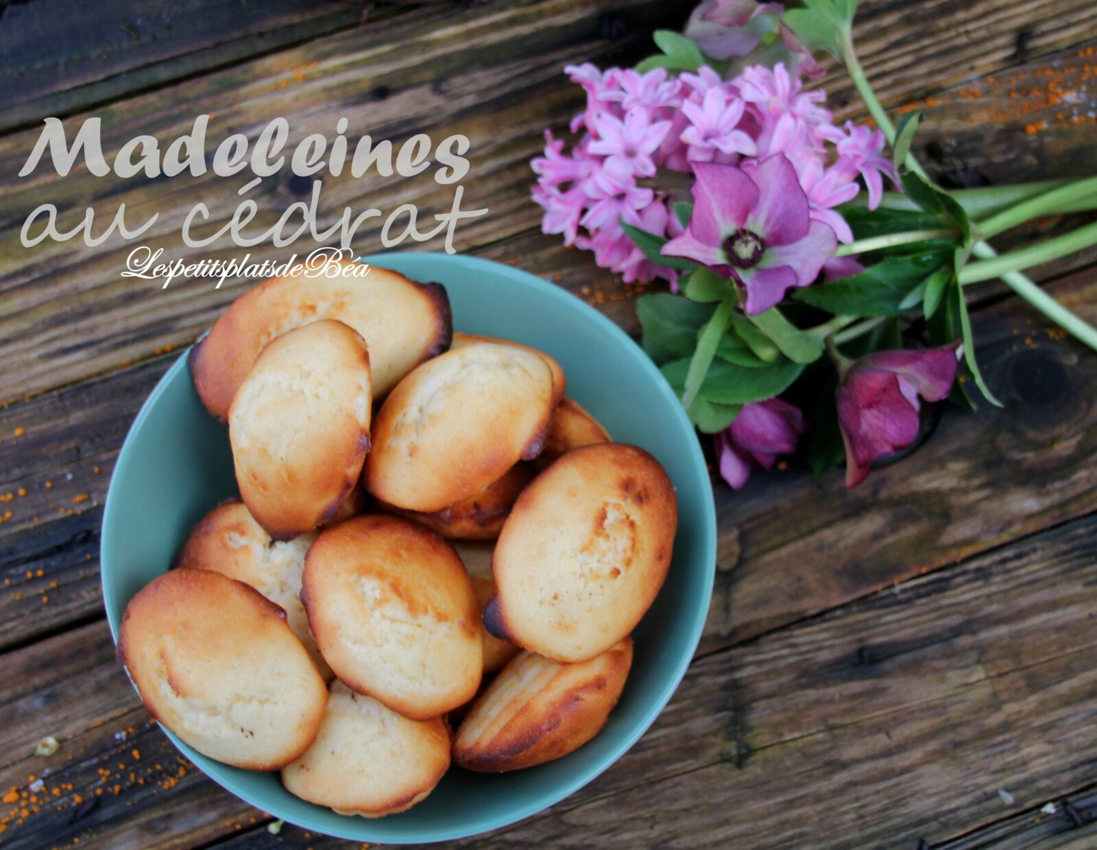 Madeleines au cédrat