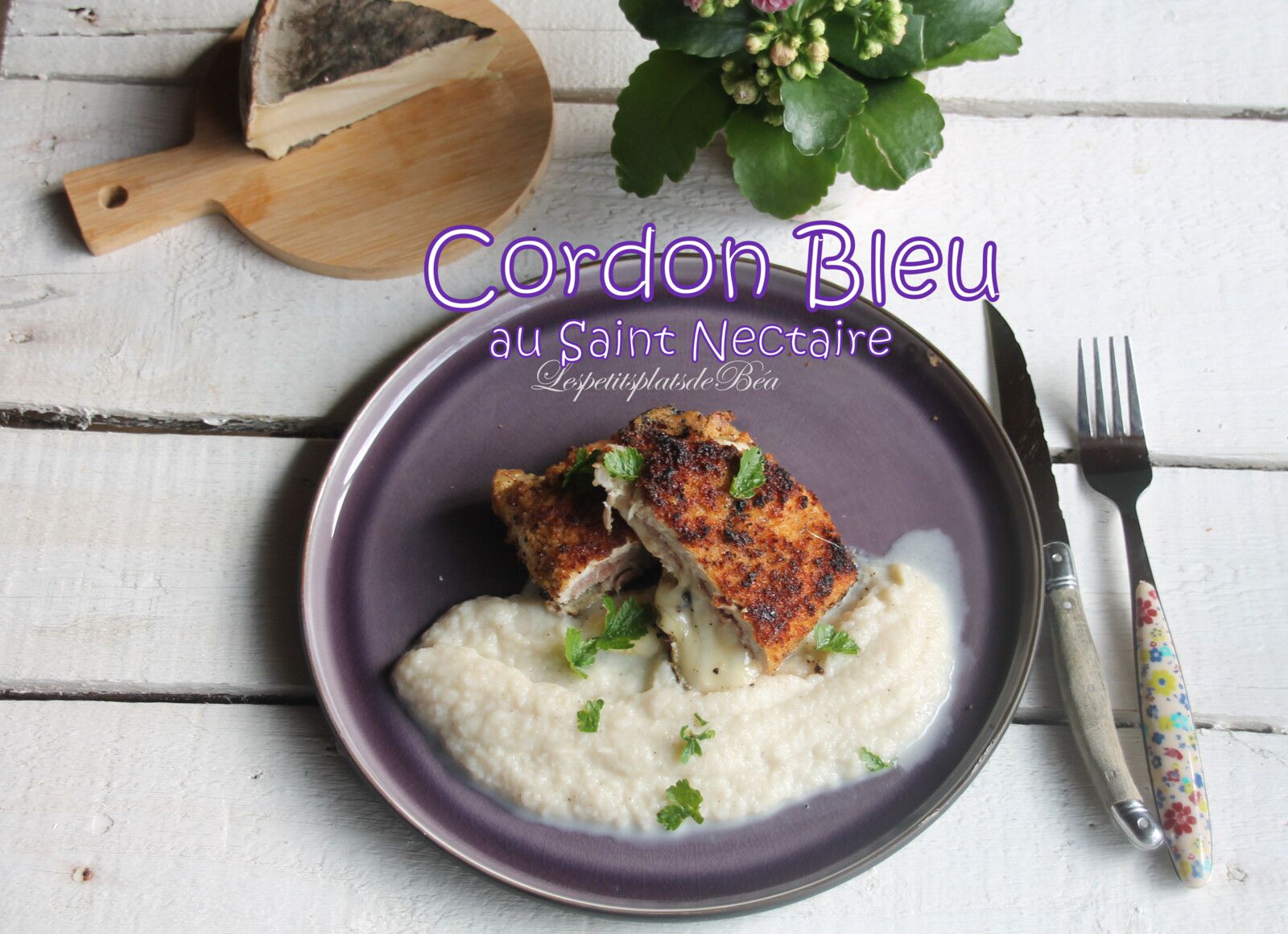 Cordon bleu au Saint Nectaire, crème de chou fleur