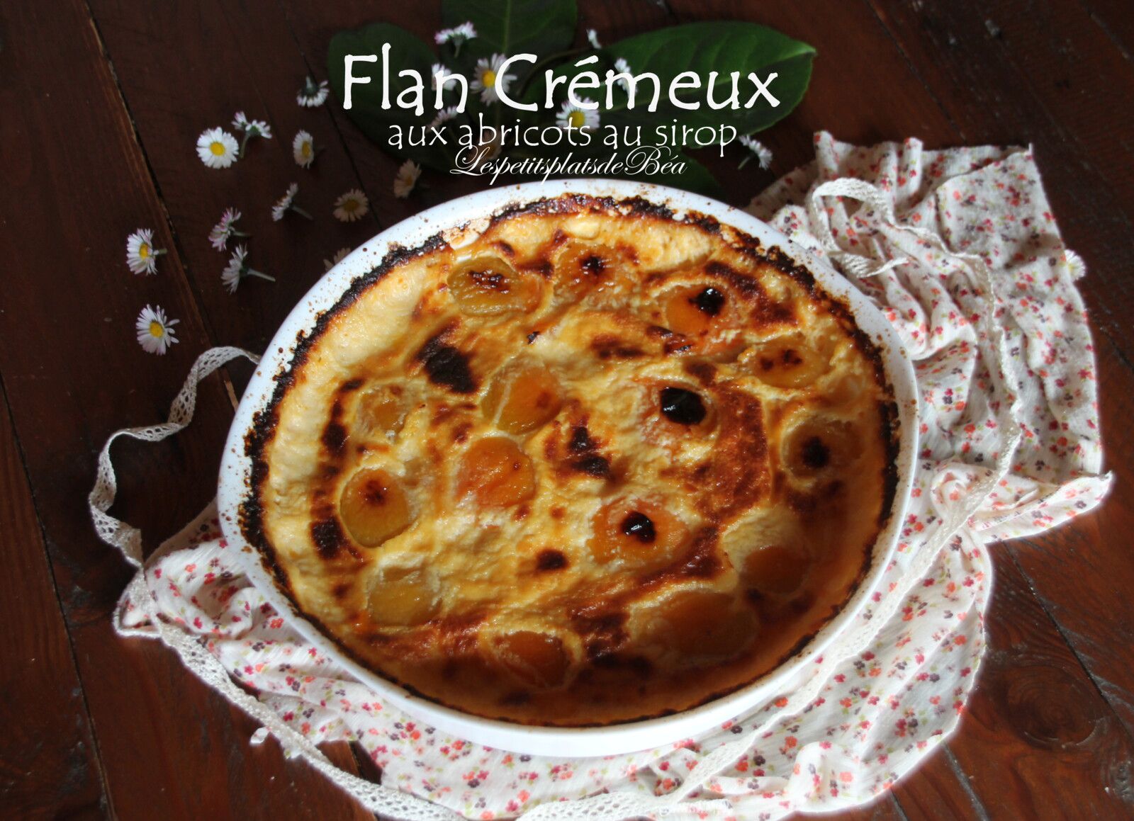Flan crémeux aux abricots au sirop