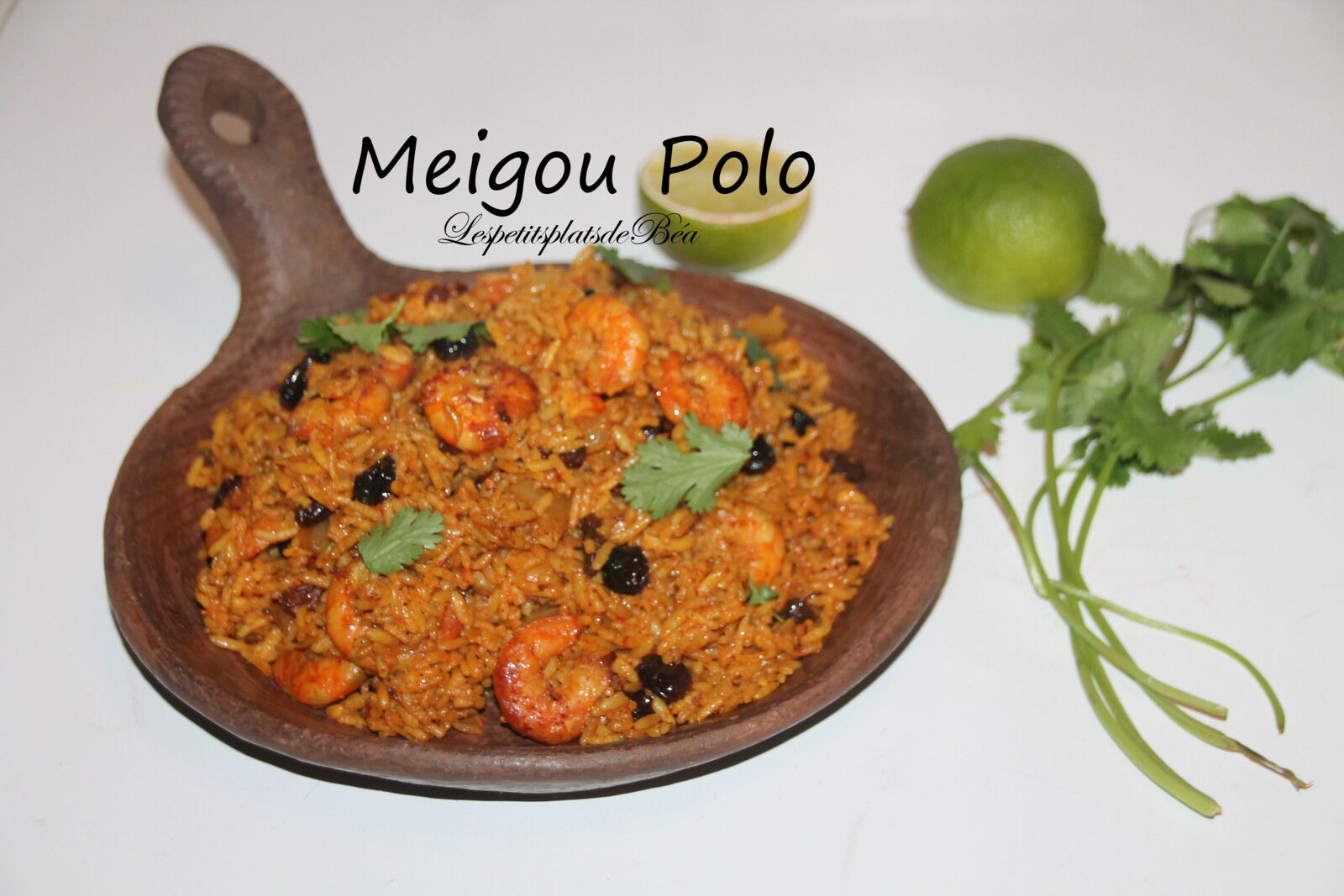 Meigou polo