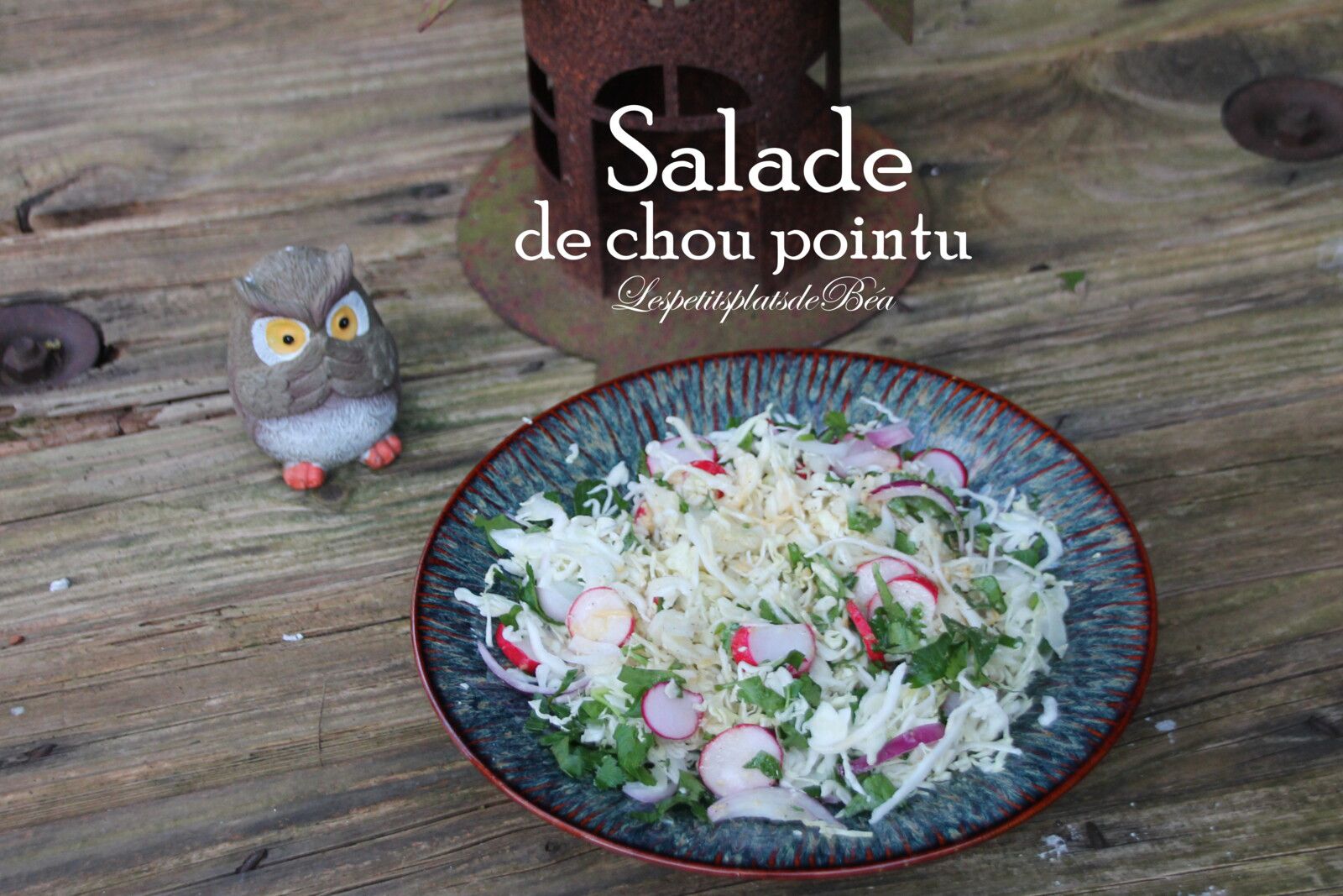 Salade de chou pointu