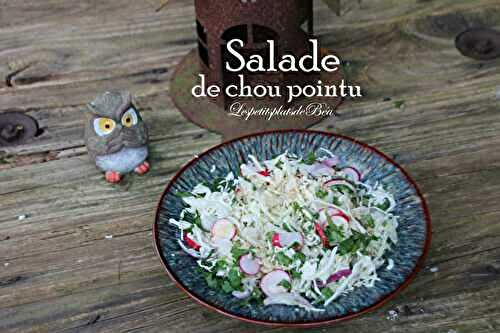 Salade de chou pointu