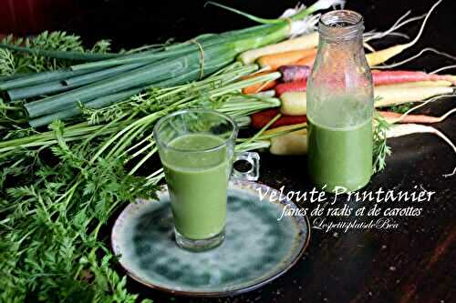 Velouté printanier, fanes de radis et de carottes