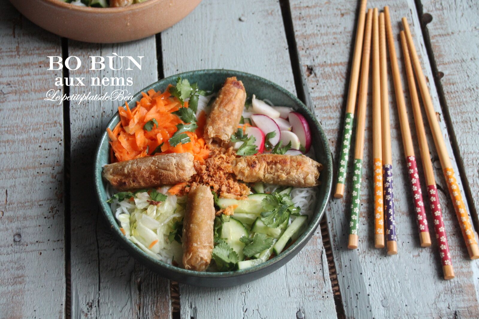 Bo bùn aux nems - balade vietnamienne