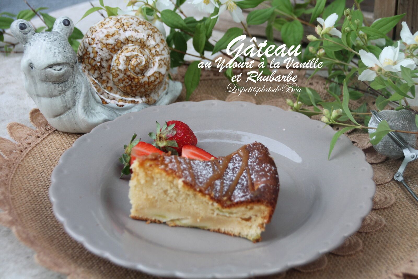Gâteau au yaourt à la vanille et à rhubarbe