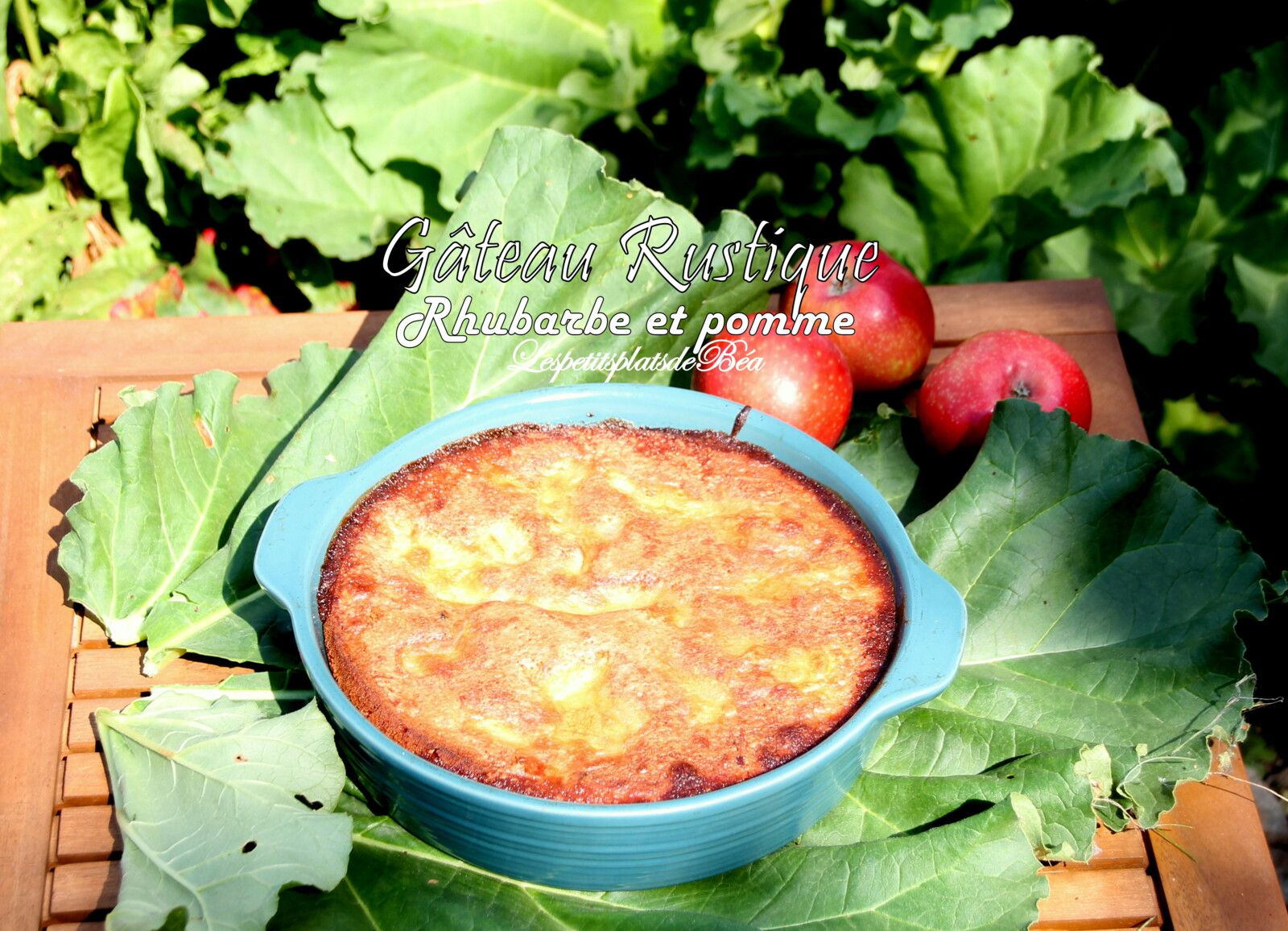Gâteau rustique rhubarbe et pomme