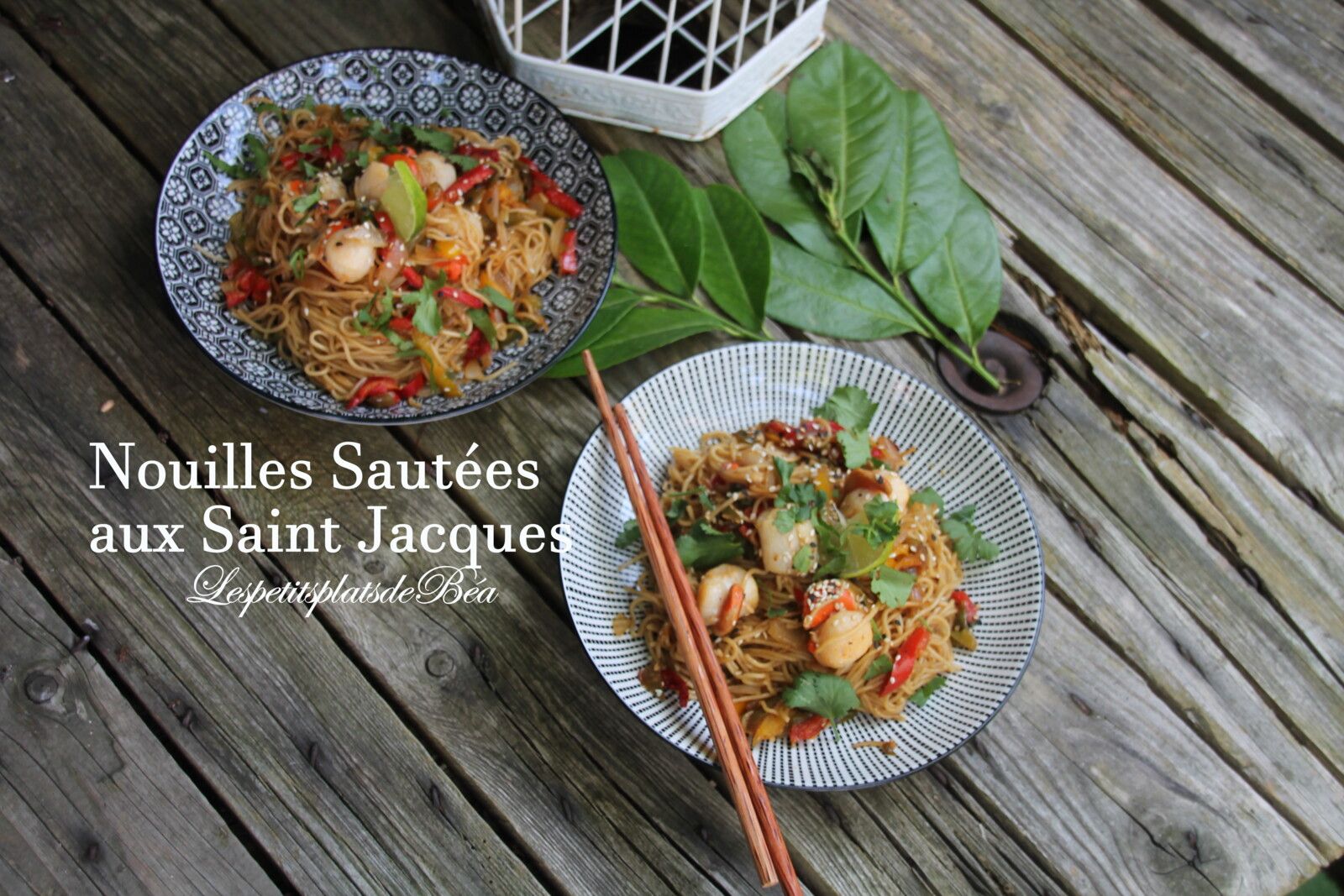 Nouilles sautées aux saint jacques