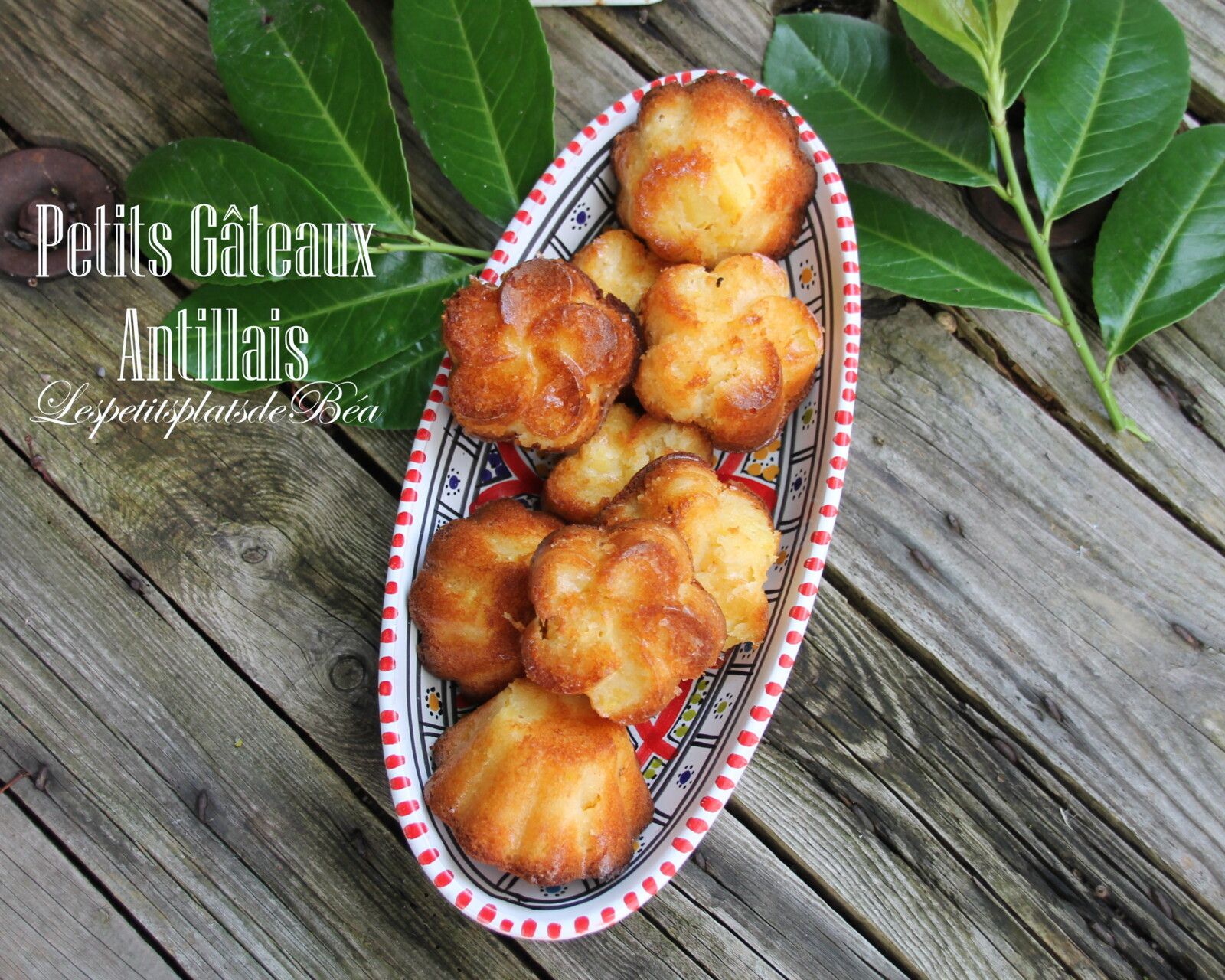 Petits gâteaux antillais ( ananas, noix de coco, rhum)