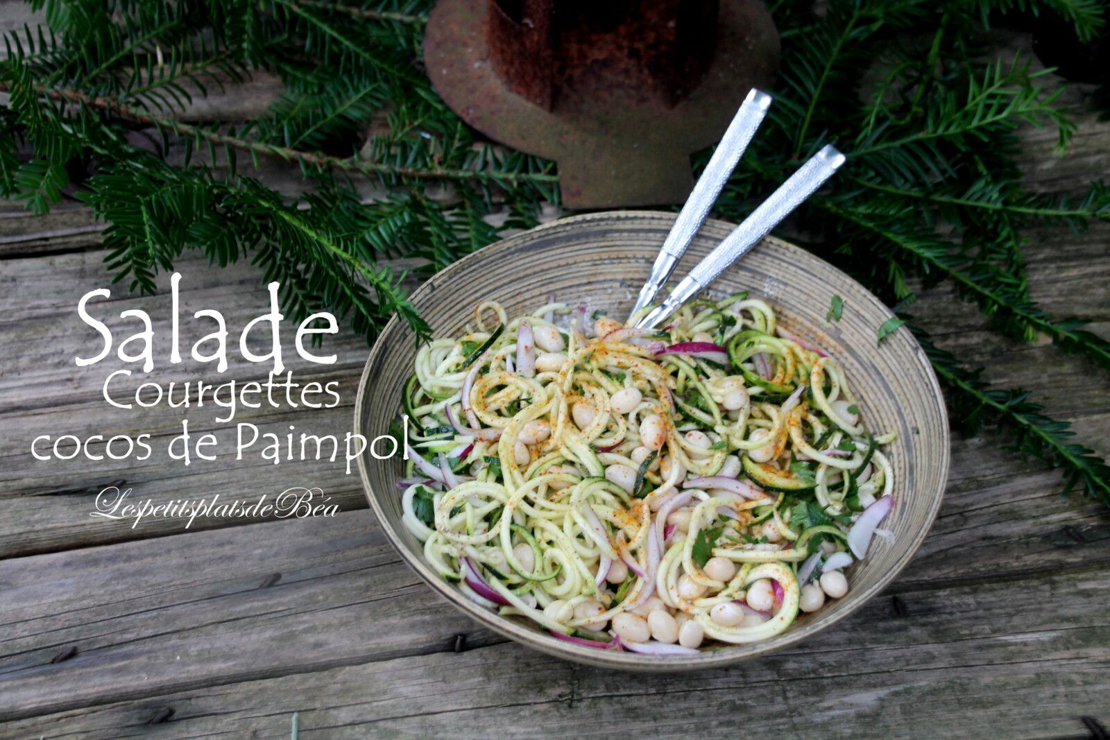 Salade de courgettes et coco de Paimpol