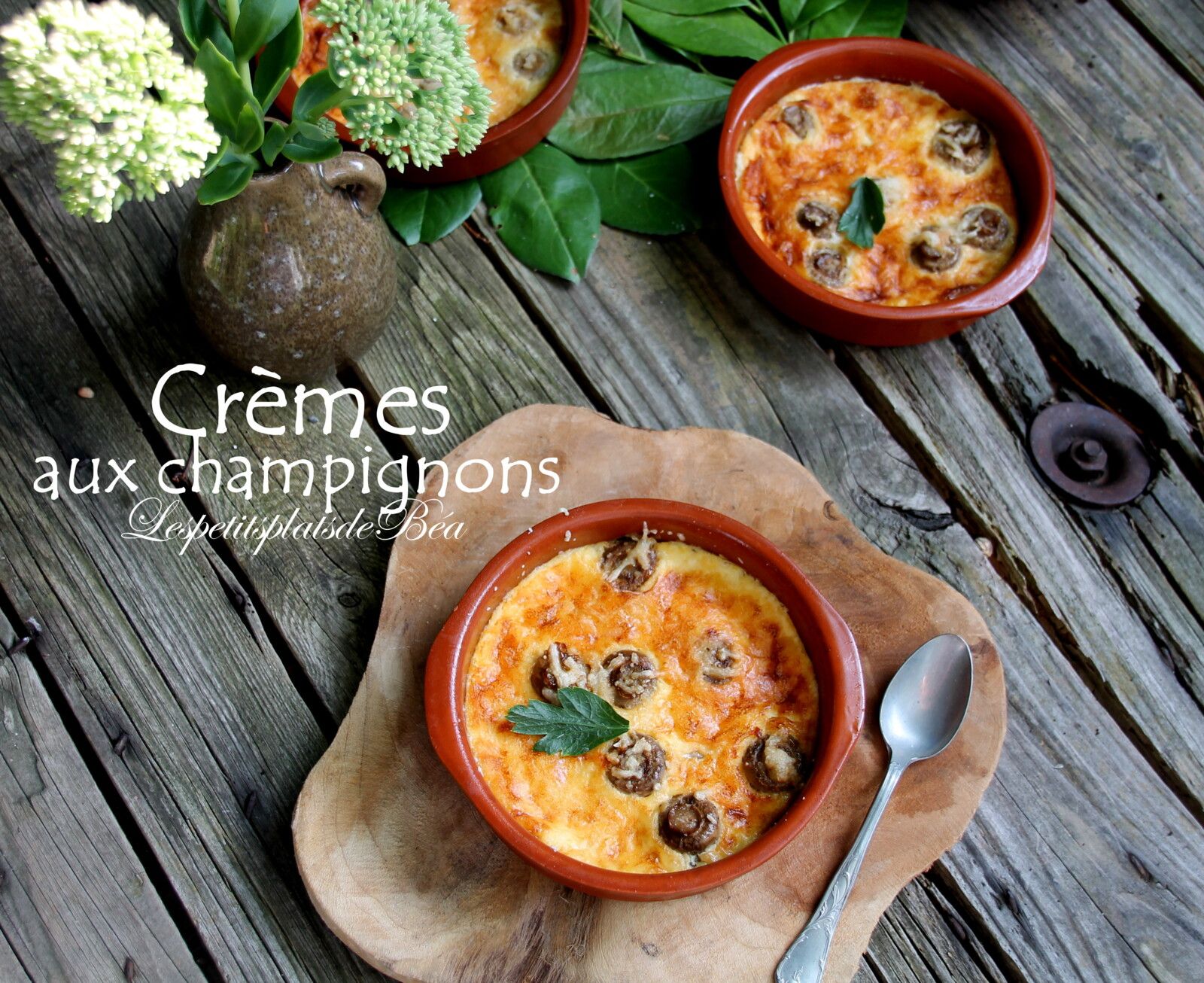 Crèmes aux champignons