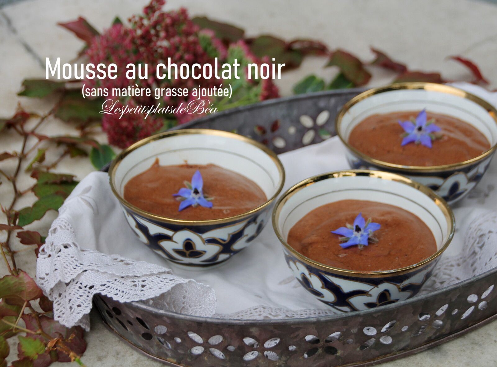 Mousse au chocolat noir (sans matière grasse ajoutée)