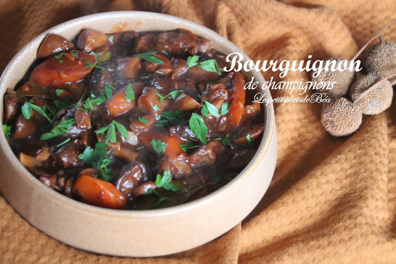 Bourguignon de champignons