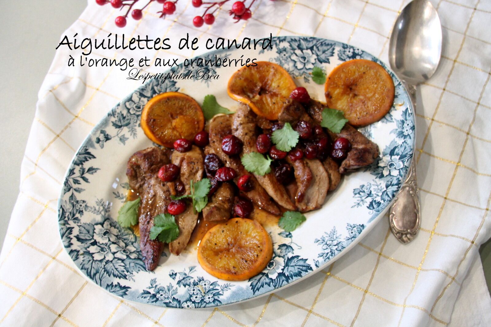 Aiguillettes de canard à l'orange et aux cranberries fraiches