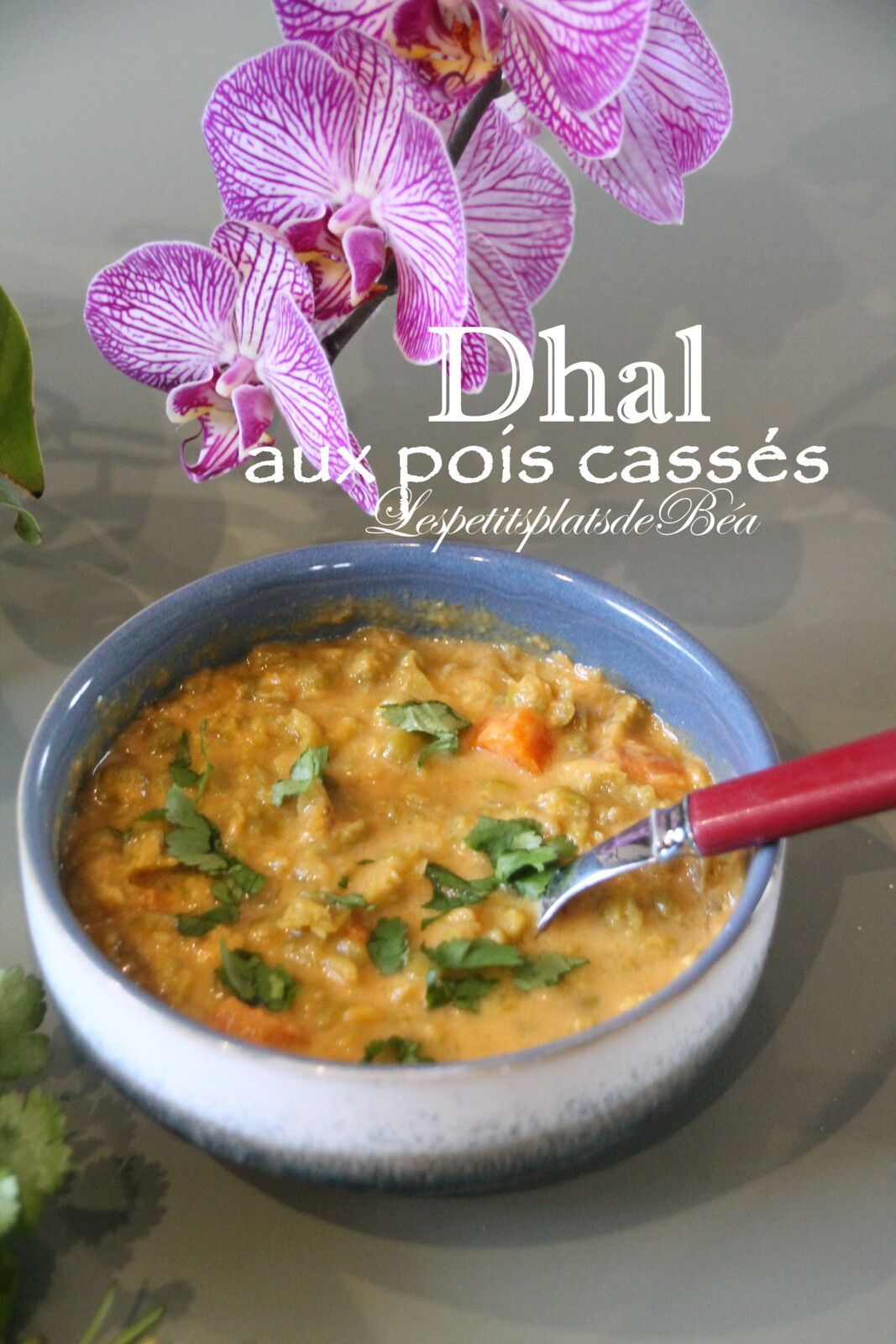 Dahl de pois cassés - balade indienne