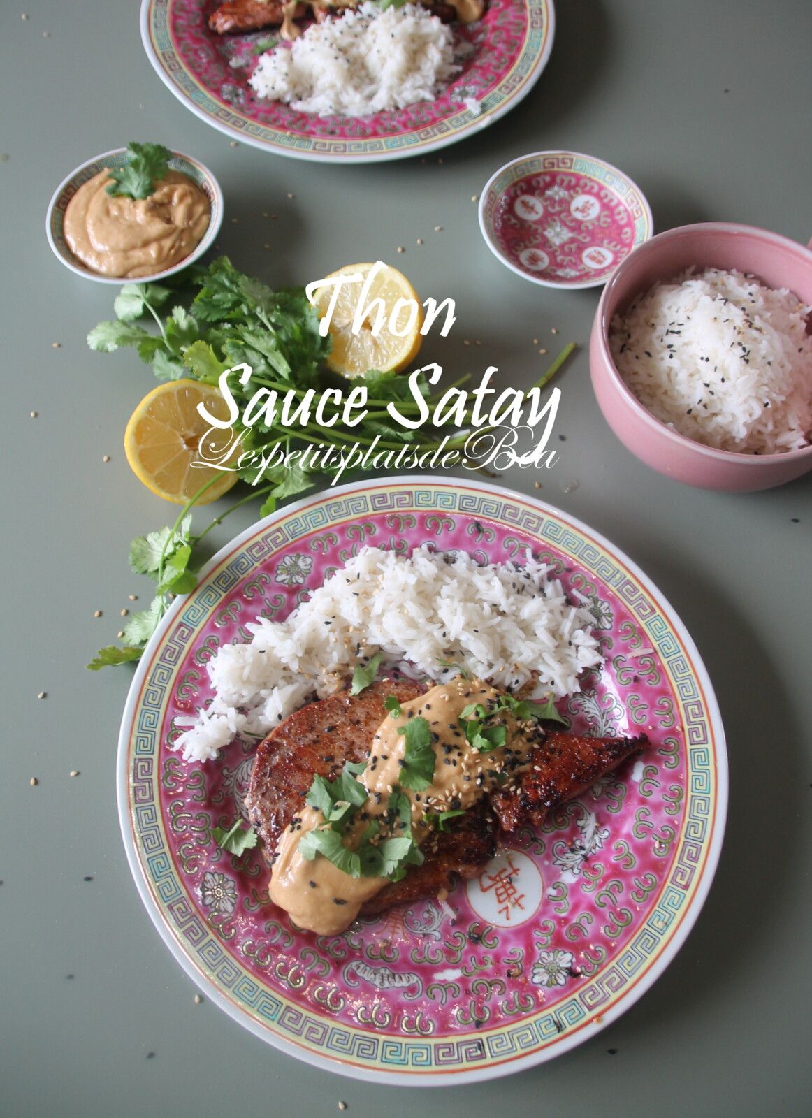 Thon sauce satay