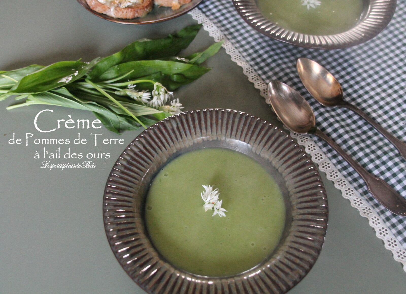 Crème de pommes de terre à l'ail des ours - balade belge au château de Beloeil, exposition des amaryllis