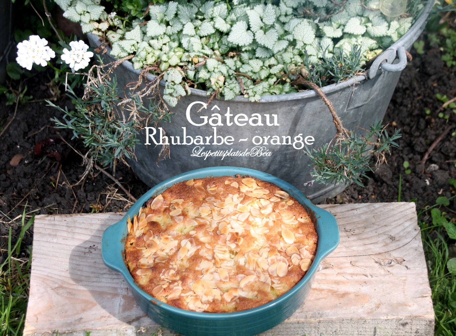 Gâteau rhubarbe-orange