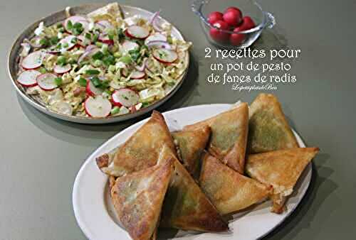 2 recettes pour un pot de pesto de fanes de radis