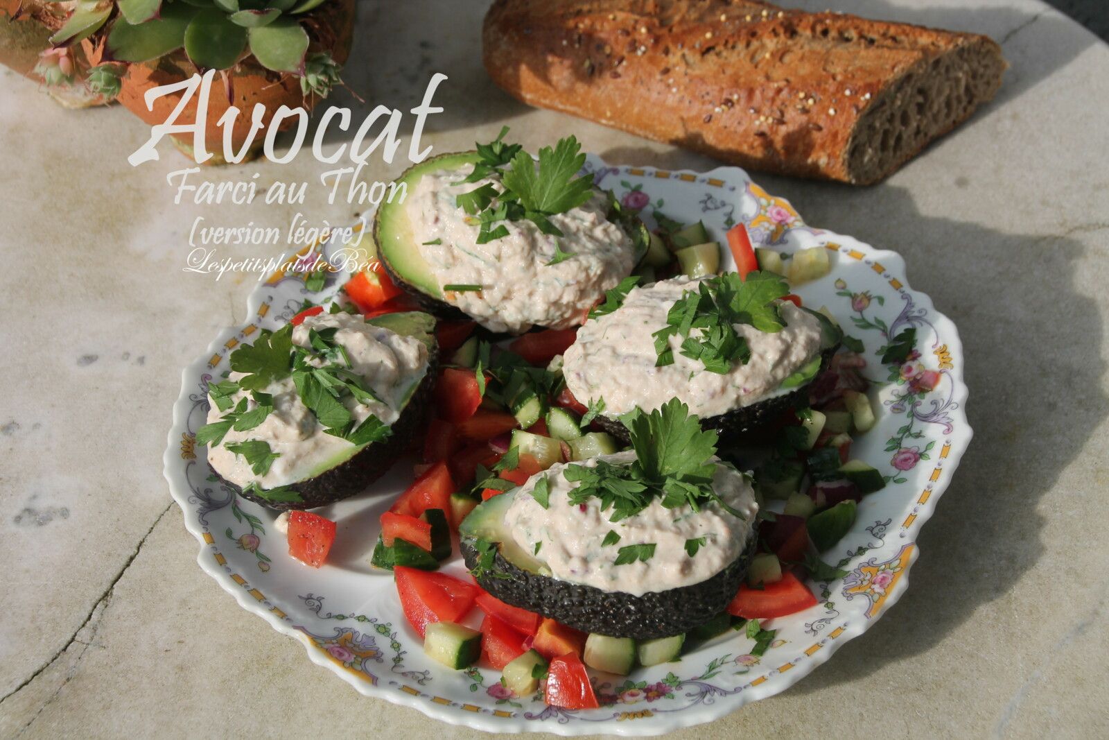 Avocat farci au thon (version légère)