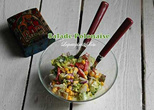 Salade polonaise - balade dans le sud de la Pologne