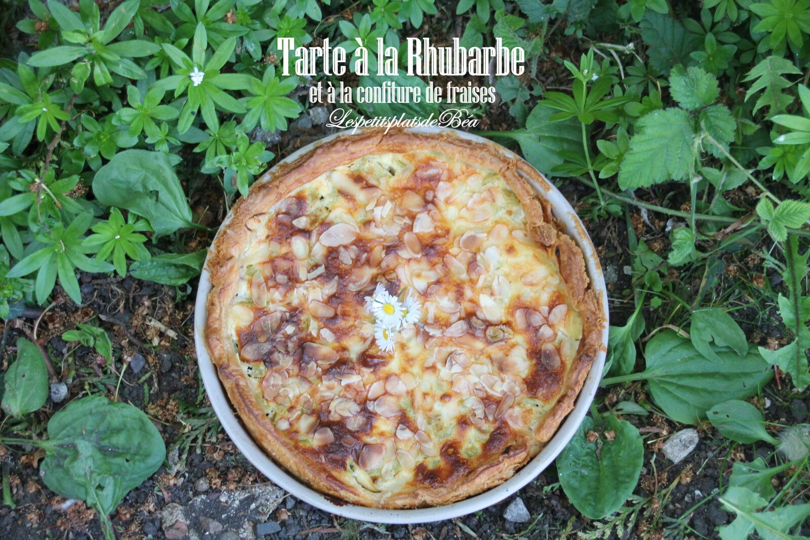 Tarte à la rhubarbe et à la confiture de fraises