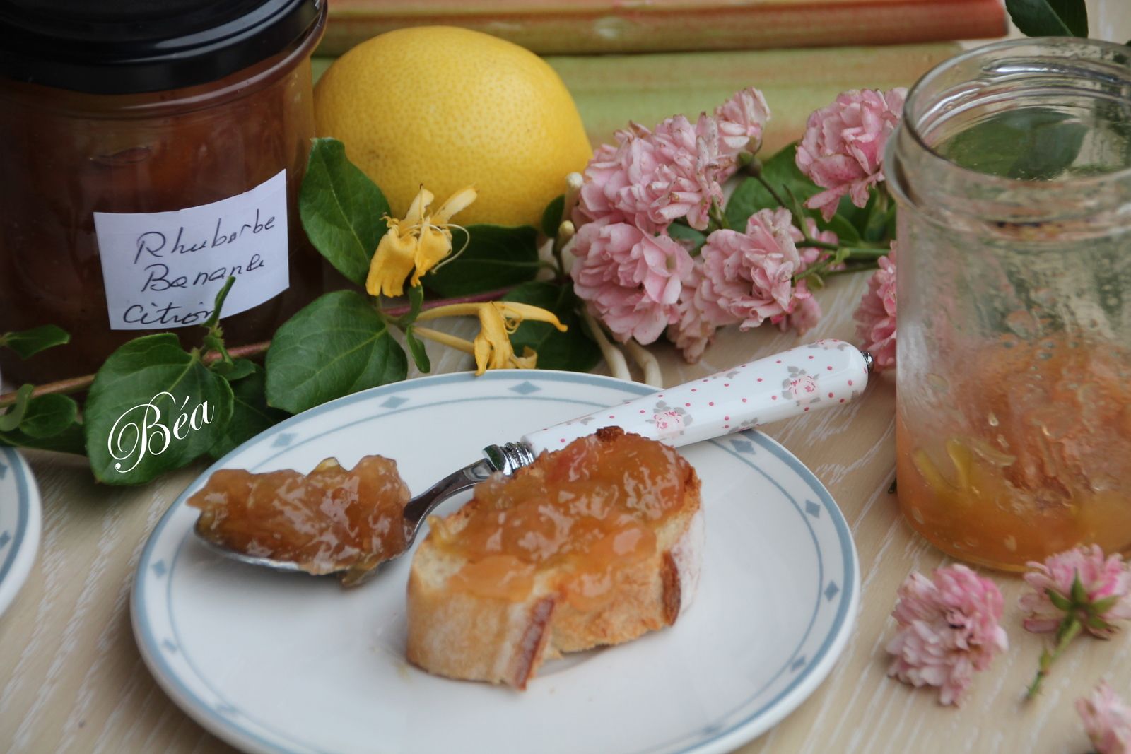 Confiture rhubarbe, banane et citron