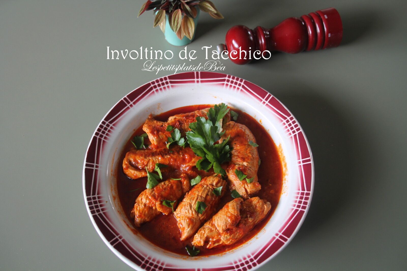   Involtino di tacchino