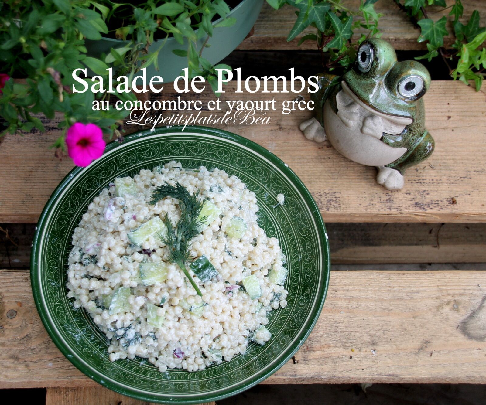 Salade de plombs au concombre et yaourt grec