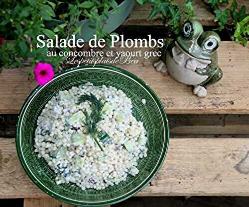 Salade de plombs au concombre et yaourt grec
