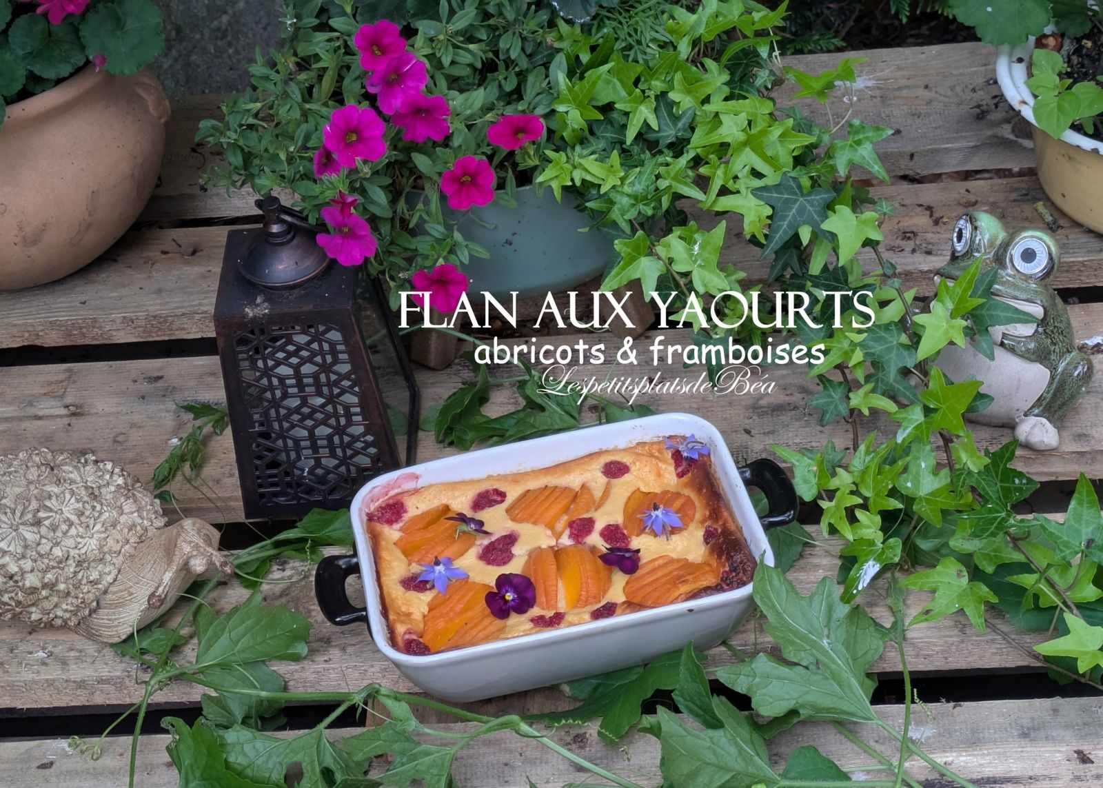 Flan aux yaourts, abricots et framboises