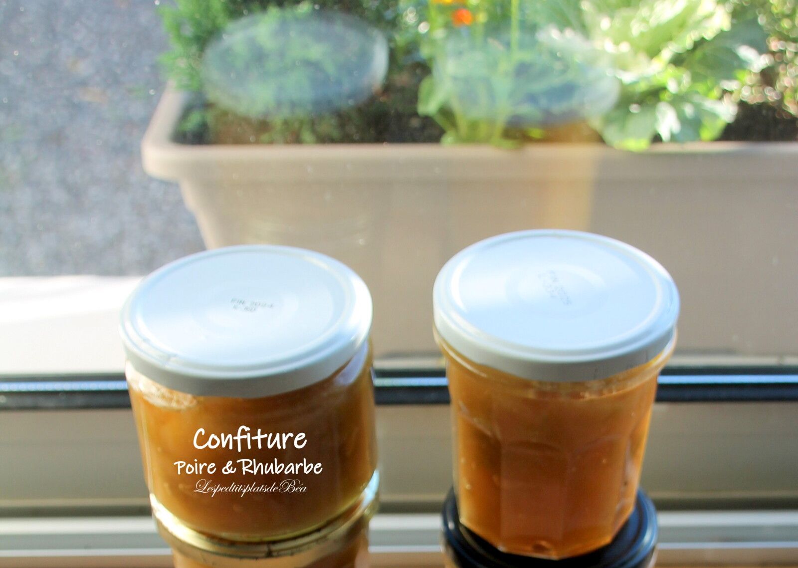 Confiture poire rhubarbe