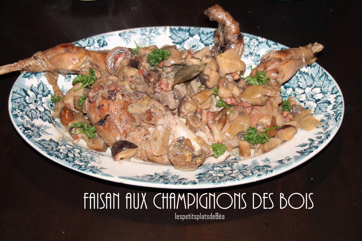 Faisan aux champignons des bois