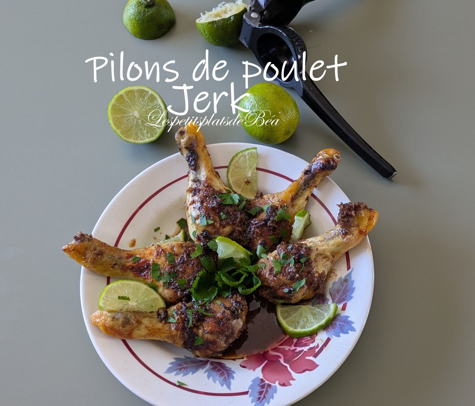 Pilons de poulet jerk
