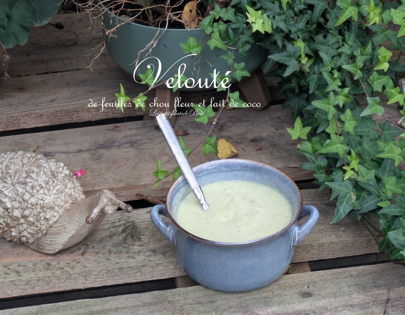 Velouté de feuilles de chou fleur et lait de coco