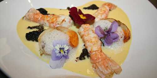 Langoustines et Saint Jacques au sabayon de Champagne et morilles