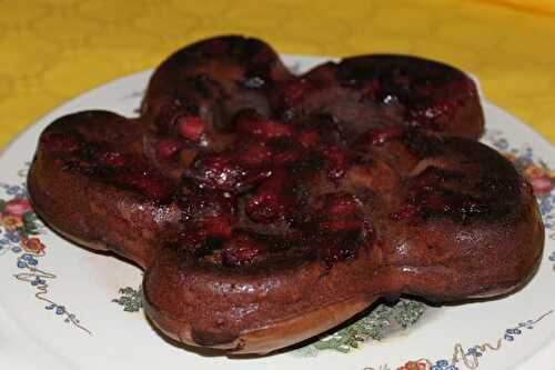 Gâteau de Lucie au chocolat et aux framboises