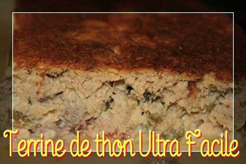 Terrine de thon Ultra Facile