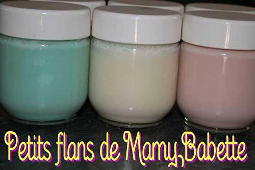 Petits flans de Mamy Babette