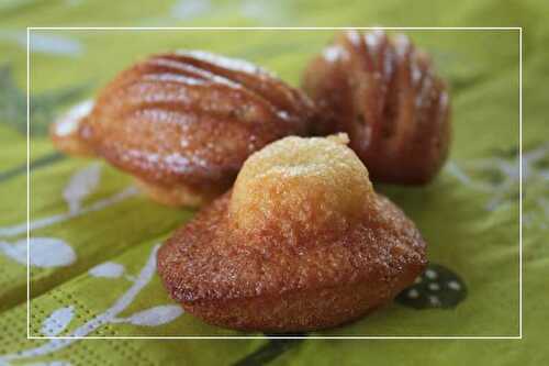 Madeleines Miel et Fleur d'oranger