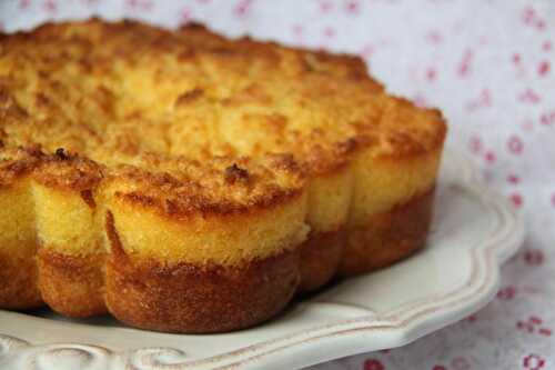 Gâteau moelleux aux pommes et son croustillant noix de coco