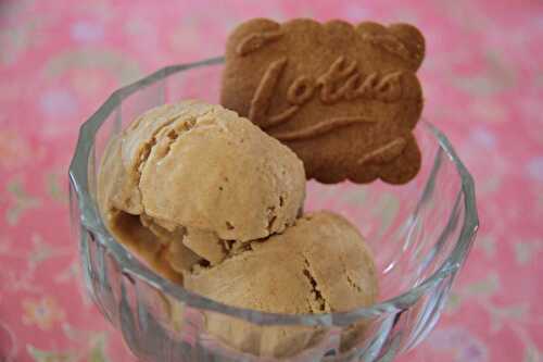 Glace aux Speculoos