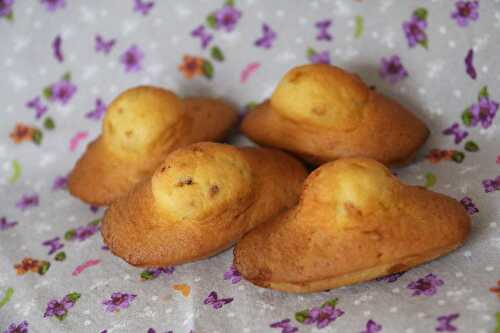 Madeleines au pralin