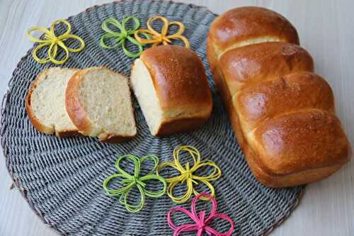 Brioche : la meilleure ? (au Thermomix ou sans)