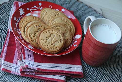 Gingerbread Christmas Cookies (au Thermomix ou sans)