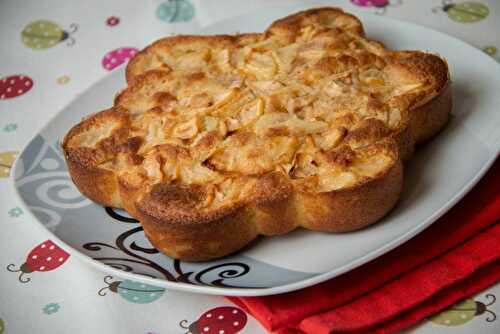 Gâteau rapide Pomme Poire (recette Tupperware)