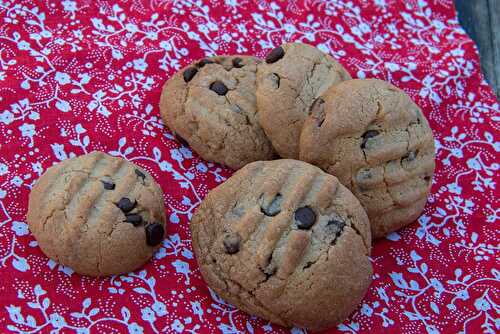 Cookies à la pâte de spéculoos et aux pépites de chocolat